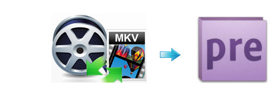 mkv-to-premiere-elements.jpg