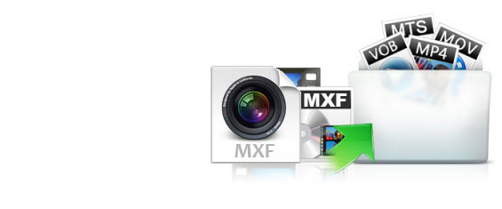 mxf-various-video-formats.jpg