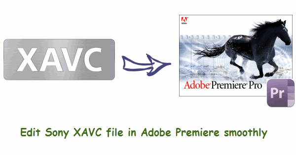 Adobe Premiere Missing Codec Fix