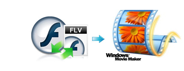 flv to windows video converter