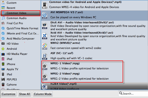 MPEG Video Format