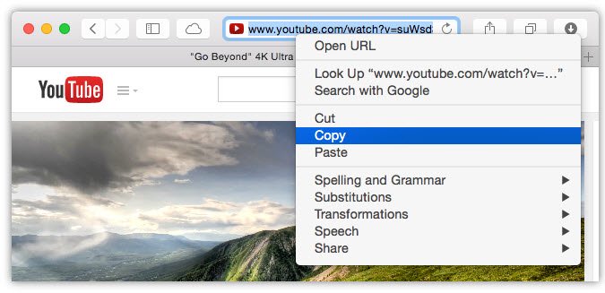 how to copy url and download video